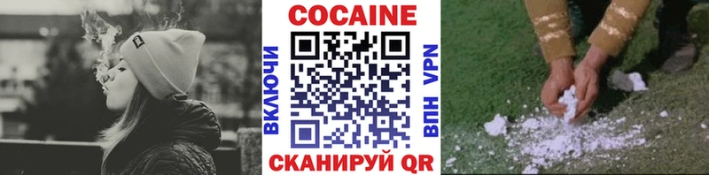 COCAIN Fish Scale  Купить где  Галич 