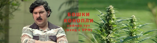 марки nbome Карпинск