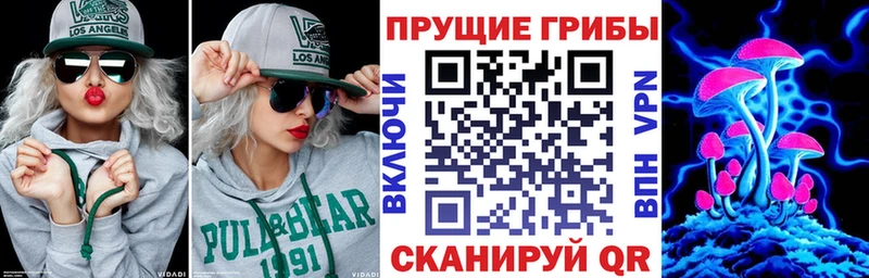 Галлюциногенные грибы Cubensis Купить закладки Галич